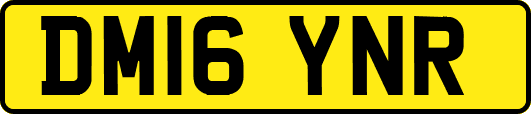 DM16YNR