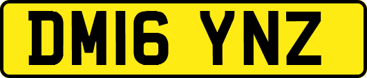 DM16YNZ