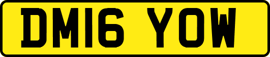 DM16YOW