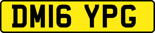 DM16YPG