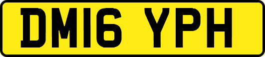 DM16YPH