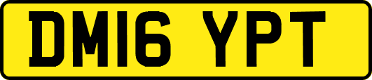 DM16YPT
