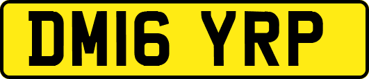 DM16YRP