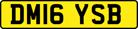 DM16YSB
