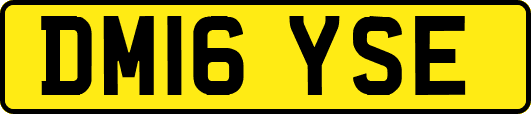 DM16YSE