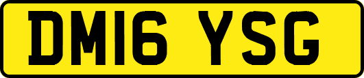 DM16YSG