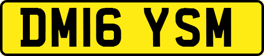 DM16YSM