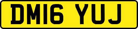 DM16YUJ