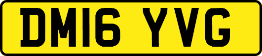 DM16YVG