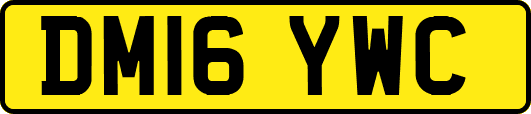 DM16YWC
