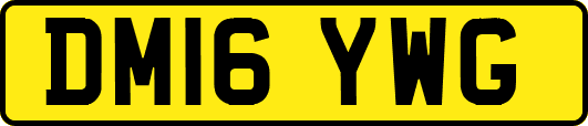 DM16YWG