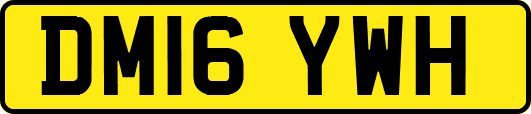 DM16YWH
