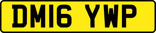 DM16YWP