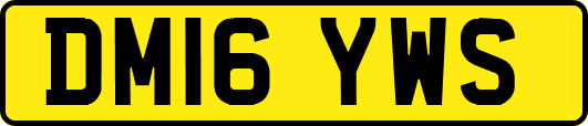 DM16YWS