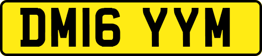 DM16YYM