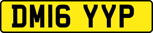 DM16YYP
