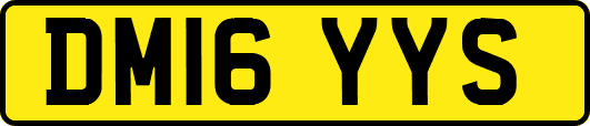 DM16YYS