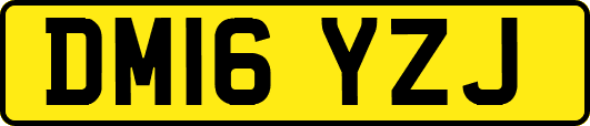 DM16YZJ