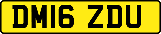 DM16ZDU