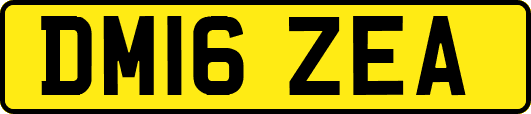 DM16ZEA