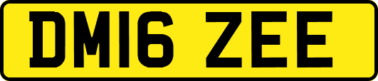 DM16ZEE