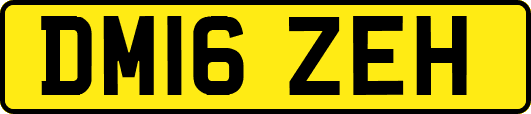 DM16ZEH