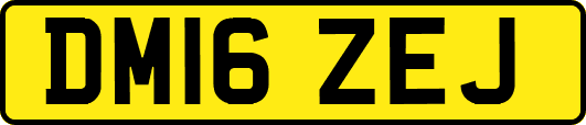 DM16ZEJ
