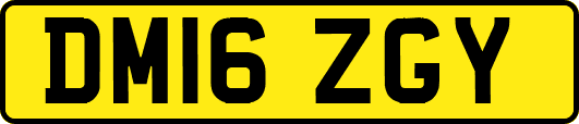 DM16ZGY