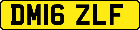 DM16ZLF