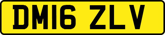 DM16ZLV