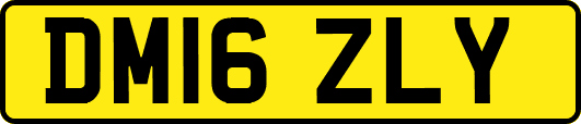 DM16ZLY