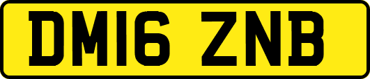 DM16ZNB