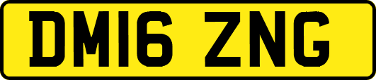 DM16ZNG