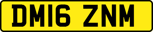 DM16ZNM