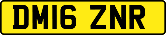 DM16ZNR
