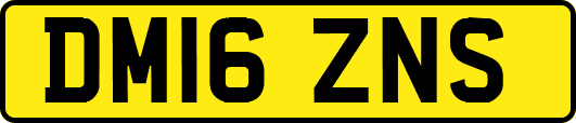 DM16ZNS