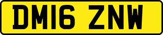 DM16ZNW