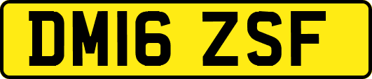 DM16ZSF
