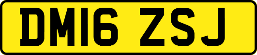 DM16ZSJ