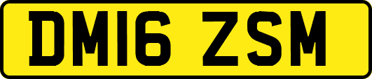 DM16ZSM