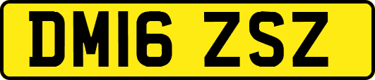 DM16ZSZ