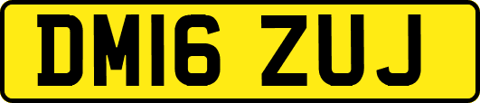 DM16ZUJ