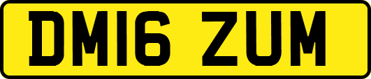 DM16ZUM