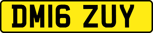 DM16ZUY
