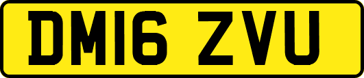 DM16ZVU