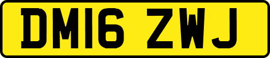 DM16ZWJ