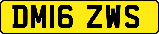 DM16ZWS