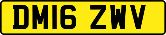 DM16ZWV