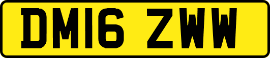 DM16ZWW