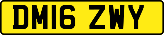 DM16ZWY